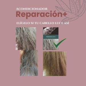 Acondicionador Línea BOND R- Porosidad Alta