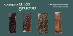 CABELLO RULOS- GRUESO: Rutinas para distintos niveles de daño